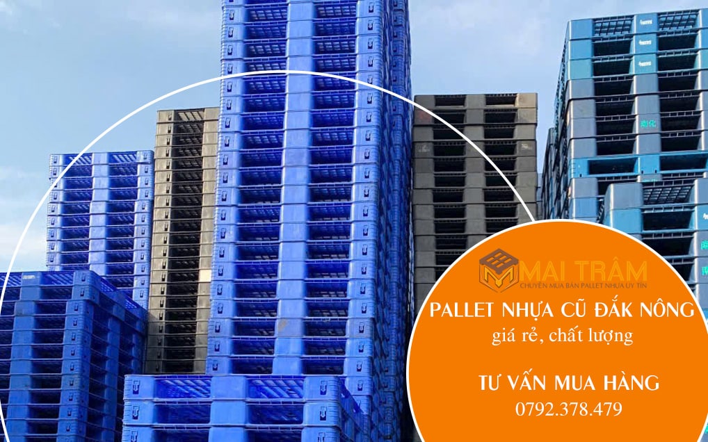 Pallet nhựa cũ Đắk Nông