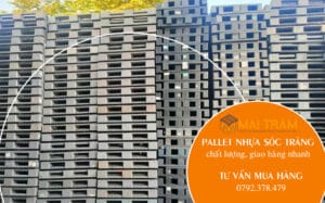 Mua pallet nhựa tại Sóc Trăng chất lượng, giao hàng nhanh
