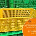 Cung cấp rổ nhựa tại Bình Dương chất lượng bền đẹp giá tốt