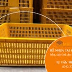 Rổ nhựa tại Kiên Giang bền, tiện lợi cho gia đình và doanh nghiệp
