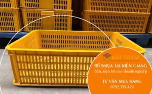 Rổ nhựa tại Kiên Giang bền, tiện lợi cho gia đình và doanh nghiệp