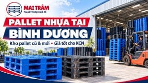 Pallet Nhựa Tại Bình Dương