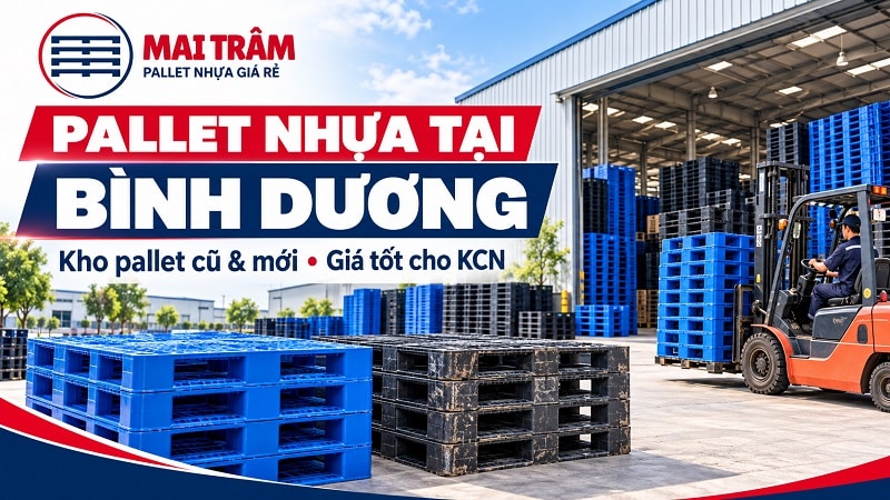 Pallet Nhựa Tại Bình Dương