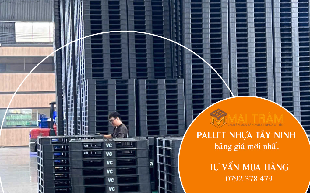 Bảng giá pallet nhựa tại Tây Ninh mới nhất 2025