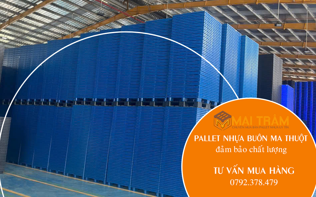 Pallet nhựa tại Buôn Ma Thuột giao tận kho, chất lượng đảm bảo