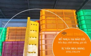 Mua rổ nhựa tại Bảo Lộc bền đẹp, chất lượng, giá tốt 