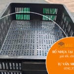 Mua rổ nhựa tại Đắk Nông giá tốt, uy tín và chất lượng