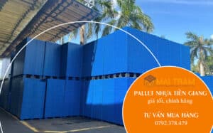 Giá pallet nhựa tại Tiền Giang và nơi mua uy tín