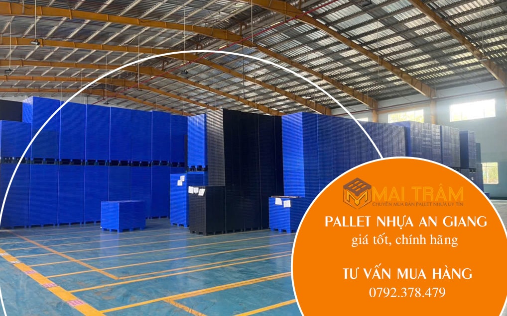 Pallet nhựa tại An Giang