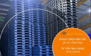 Pallet nhựa tại Bảo Lộc