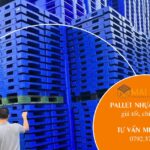 Pallet nhựa tại Trà Vinh