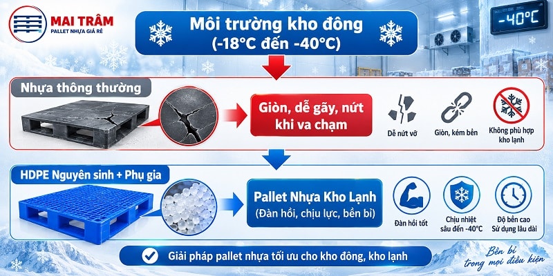 Pallet Nhựa Kho Lạnh