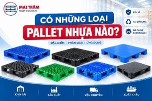 Có Những Loại Pallet Nhựa Nào