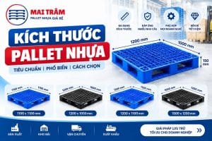 Kích Thước Pallet Nhựa