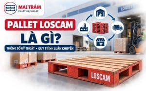 Pallet Loscam Là Gì