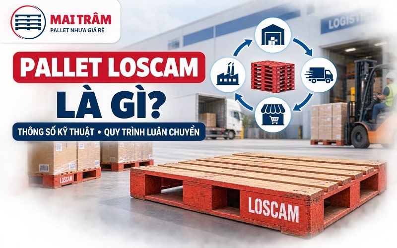 Pallet Loscam Là Gì
