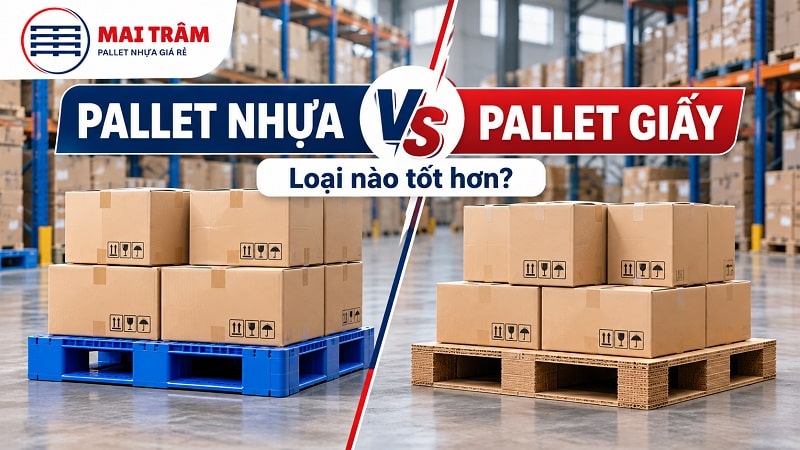 Pallet Nhựa vs Pallet Giấy