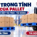 Tải Trọng Tĩnh Của Pallet