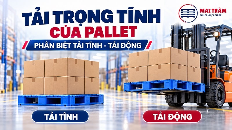 Tải Trọng Tĩnh Của Pallet
