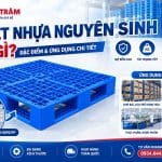 pallet nhựa nguyên sinh là gì