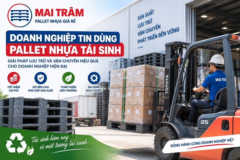 Khi nào doanh nghiệp NÊN và KHÔNG NÊN dùng pallet nhựa tái sinh