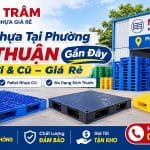 Pallet Nhựa Tại Phú Thuận