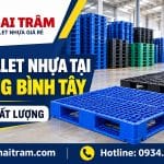 Bán Pallet Nhựa Tại Phường Bình Tây