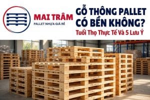 Gỗ Thông Pallet Có Bền Không