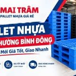 Pallet Nhựa Tại Phường Bình Đông