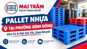 Pallet Nhựa Tại Phường Bình Đông