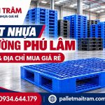 Pallet Nhựa Tại Phường Phú Lâm