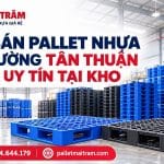 Pallet Nhựa Tại Phường Tân Thuận
