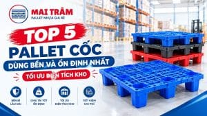 Top 5 Pallet Cốc